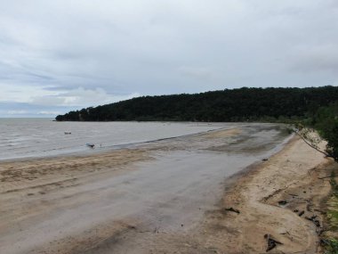 Kuching, Sarawak / Malezya - 12 Ocak 2020: Sarawak Bako Ulusal Parkı, Borneo Adası, Malezya