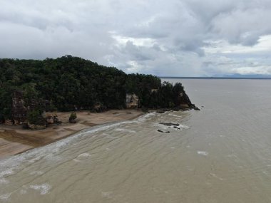 Kuching, Sarawak / Malezya - 12 Ocak 2020: Sarawak Bako Ulusal Parkı, Borneo Adası, Malezya