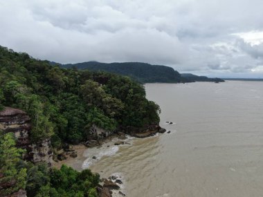 Kuching, Sarawak / Malezya - 12 Ocak 2020: Sarawak Bako Ulusal Parkı, Borneo Adası, Malezya