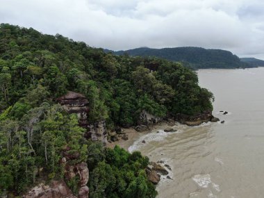 Kuching, Sarawak / Malezya - 12 Ocak 2020: Sarawak Bako Ulusal Parkı, Borneo Adası, Malezya