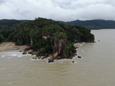 Kuching, Sarawak / Malezya - 12 Ocak 2020: Sarawak Bako Ulusal Parkı, Borneo Adası, Malezya