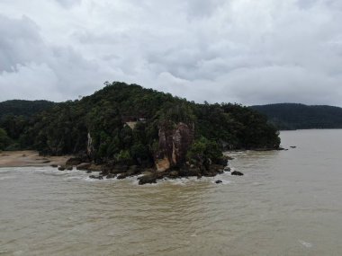 Kuching, Sarawak / Malezya - 12 Ocak 2020: Sarawak Bako Ulusal Parkı, Borneo Adası, Malezya