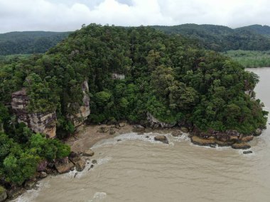 Kuching, Sarawak / Malezya - 12 Ocak 2020: Sarawak Bako Ulusal Parkı, Borneo Adası, Malezya