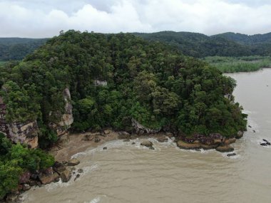 Kuching, Sarawak / Malezya - 12 Ocak 2020: Sarawak Bako Ulusal Parkı, Borneo Adası, Malezya