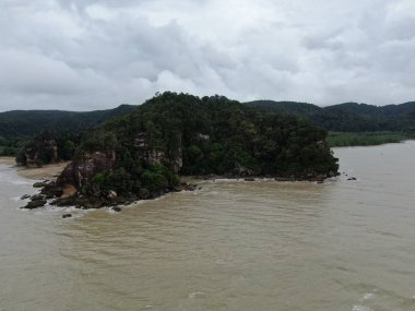 Kuching, Sarawak / Malezya - 12 Ocak 2020: Sarawak Bako Ulusal Parkı, Borneo Adası, Malezya