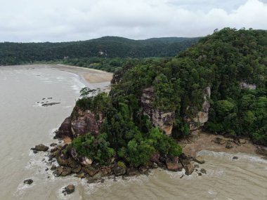 Kuching, Sarawak / Malezya - 12 Ocak 2020: Sarawak Bako Ulusal Parkı, Borneo Adası, Malezya