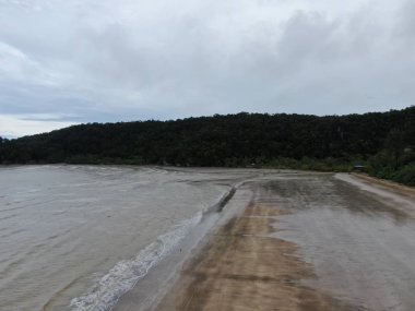 Kuching, Sarawak / Malezya - 12 Ocak 2020: Sarawak Bako Ulusal Parkı, Borneo Adası, Malezya