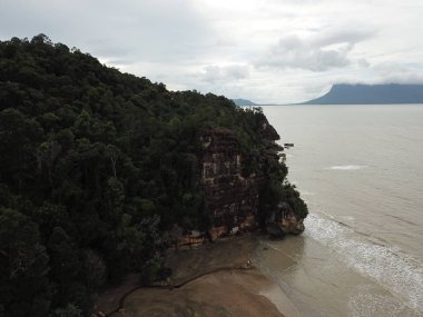 Kuching, Sarawak / Malezya - 12 Ocak 2020: Sarawak Bako Ulusal Parkı, Borneo Adası, Malezya