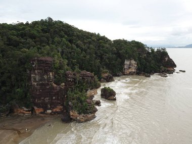 Kuching, Sarawak / Malezya - 12 Ocak 2020: Sarawak Bako Ulusal Parkı, Borneo Adası, Malezya