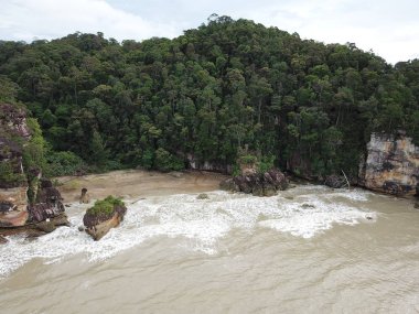 Kuching, Sarawak / Malezya - 12 Ocak 2020: Sarawak Bako Ulusal Parkı, Borneo Adası, Malezya