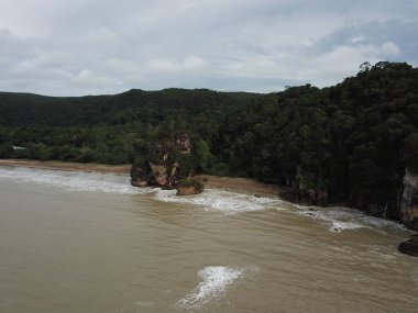 Kuching, Sarawak / Malezya - 12 Ocak 2020: Sarawak Bako Ulusal Parkı, Borneo Adası, Malezya