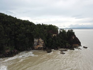Kuching, Sarawak / Malezya - 12 Ocak 2020: Sarawak Bako Ulusal Parkı, Borneo Adası, Malezya