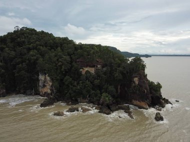 Kuching, Sarawak / Malezya - 12 Ocak 2020: Sarawak Bako Ulusal Parkı, Borneo Adası, Malezya