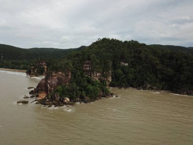 Kuching, Sarawak / Malezya - 12 Ocak 2020: Sarawak Bako Ulusal Parkı, Borneo Adası, Malezya