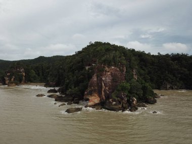 Kuching, Sarawak / Malezya - 12 Ocak 2020: Sarawak Bako Ulusal Parkı, Borneo Adası, Malezya