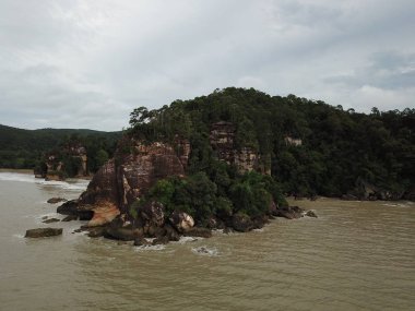 Kuching, Sarawak / Malezya - 12 Ocak 2020: Sarawak Bako Ulusal Parkı, Borneo Adası, Malezya