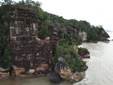 Kuching, Sarawak / Malezya - 12 Ocak 2020: Sarawak Bako Ulusal Parkı, Borneo Adası, Malezya