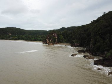 Kuching, Sarawak / Malezya - 12 Ocak 2020: Sarawak Bako Ulusal Parkı, Borneo Adası, Malezya