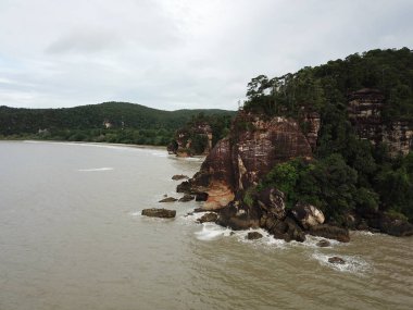 Kuching, Sarawak / Malezya - 12 Ocak 2020: Sarawak Bako Ulusal Parkı, Borneo Adası, Malezya