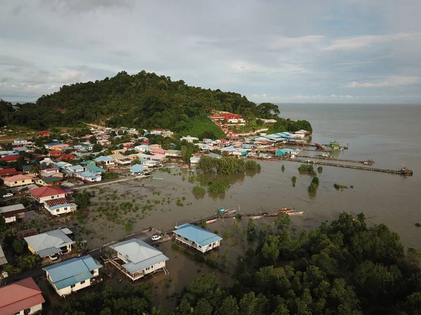 Kuching Sarawak Malaysia January 2020 Bako National Park Sarawak Borneo — 스톡 사진