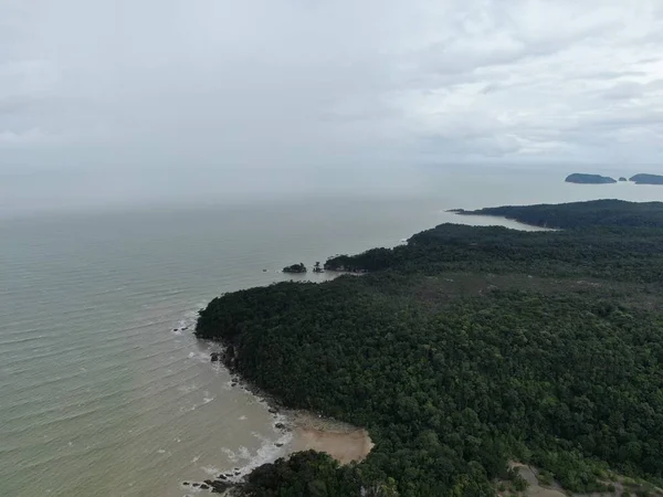 Kuching Sarawak Malaysia January 2020 Bako National Park Sarawak Borneo — 图库照片