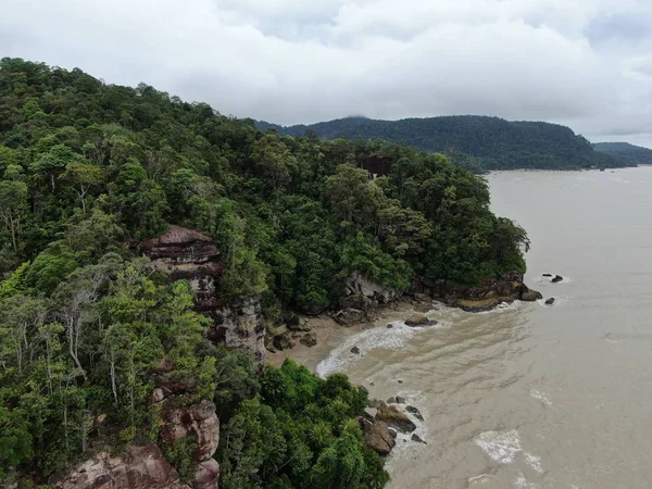Kuching, Sarawak / Malezya - 12 Ocak 2020: Sarawak Bako Ulusal Parkı, Borneo Adası, Malezya