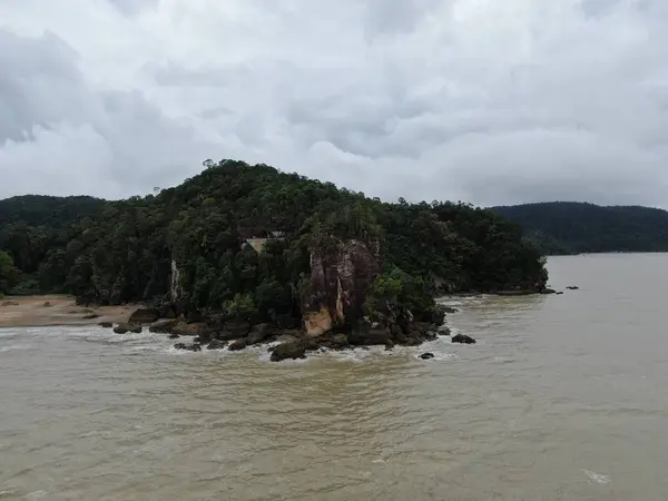 Kuching Sarawak Malaysia January 2020 Bako National Park Sarawak Borneo — 스톡 사진