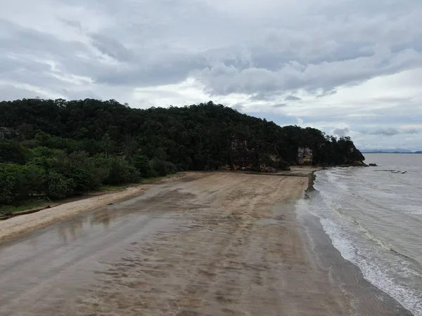 Kuching Sarawak Malaysia Januar 2020 Der Bako Nationalpark Von Sarawak — Stockfoto