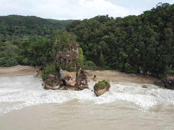 Kuching, Sarawak / Malezya - 12 Ocak 2020: Sarawak Bako Ulusal Parkı, Borneo Adası, Malezya