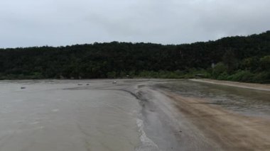 Kuching, Sarawak / Malezya - 12 Ocak 2020: Sarawak Bako Ulusal Parkı, Borneo Adası, Malezya