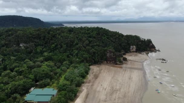 Kuching Sarawak Maleisië Januari 2020 Het Bako National Park Van — Stockvideo