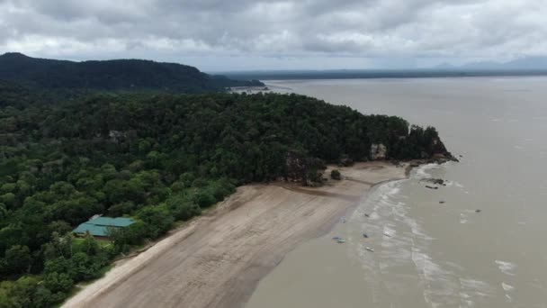 Kuching Sarawak Malezya Ocak 2020 Sarawak Bako Ulusal Parkı Borneo — Stok video