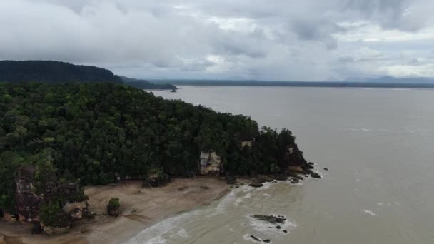 Kuching Sarawak Malaysia January 2020 Bako National Park Sarawak Borneo — стокове відео