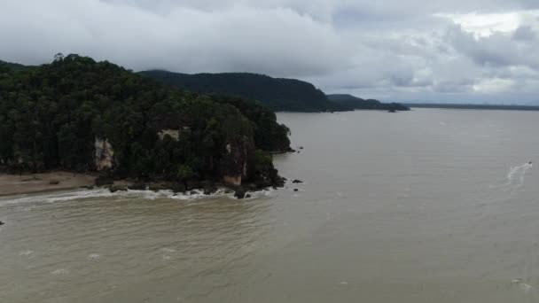 Kuching Sarawak Malaysia January 2020 Bako National Park Sarawak Borneo — стокове відео