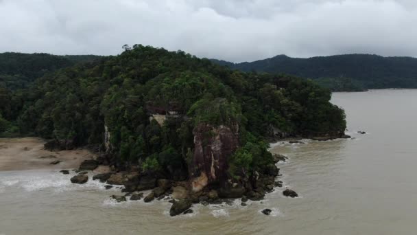 Kuching Sarawak Malasia Enero 2020 Parque Nacional Bako Sarawak Isla — Vídeo de stock