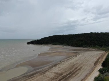 Kuching, Sarawak / Malezya - 12 Ocak 2020: Sarawak Bako Ulusal Parkı, Borneo Adası, Malezya