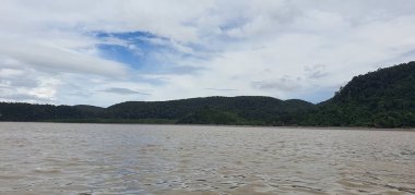 Kuching, Sarawak / Malezya - 12 Ocak 2020: Sarawak Bako Ulusal Parkı, Borneo Adası, Malezya