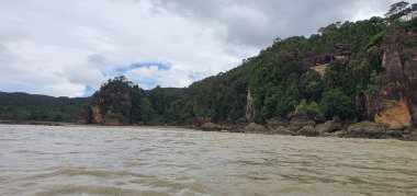 Kuching, Sarawak / Malezya - 12 Ocak 2020: Sarawak Bako Ulusal Parkı, Borneo Adası, Malezya