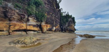 Kuching, Sarawak / Malezya - 12 Ocak 2020: Sarawak Bako Ulusal Parkı, Borneo Adası, Malezya