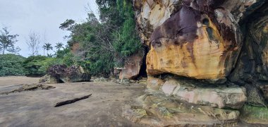 Kuching, Sarawak / Malezya - 12 Ocak 2020: Sarawak Bako Ulusal Parkı, Borneo Adası, Malezya