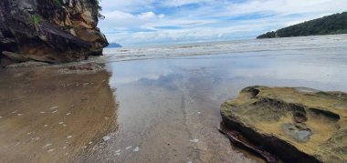 Kuching, Sarawak / Malezya - 12 Ocak 2020: Sarawak Bako Ulusal Parkı, Borneo Adası, Malezya