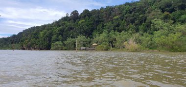 Kuching, Sarawak / Malezya - 12 Ocak 2020: Sarawak Bako Ulusal Parkı, Borneo Adası, Malezya