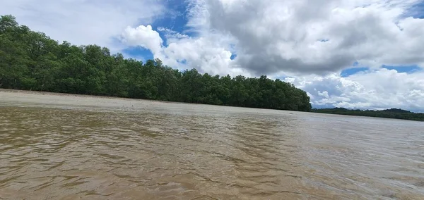 Kuching Sarawak Malaisie Janvier 2020 Parc National Bako Sarawak Île — Photo