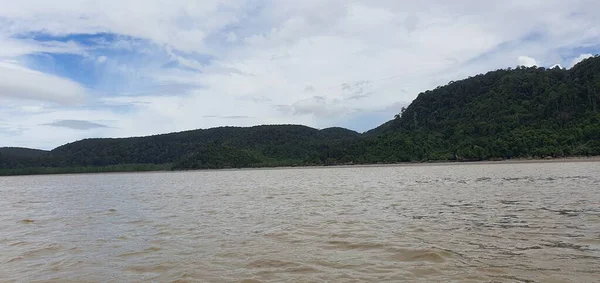 Kuching Sarawak Malaysia January 2020 Bako National Park Sarawak Borneo — Stock Photo, Image