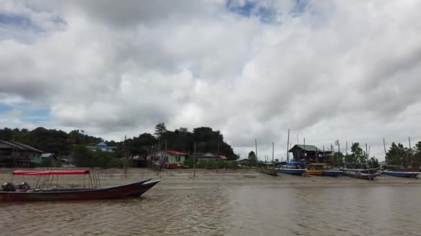 Kuching Sarawak Malaysia January 2020 Bako National Park Sarawak Borneo — Stock Video