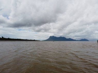 Kuching, Sarawak / Malezya - 12 Ocak 2020: Sarawak Bako Ulusal Parkı, Borneo Adası, Malezya