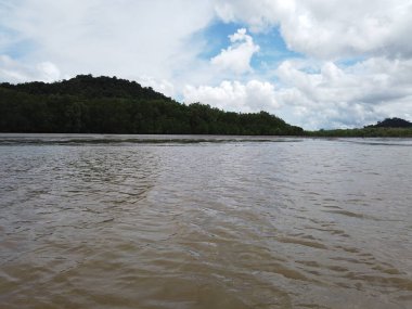 Kuching, Sarawak / Malezya - 12 Ocak 2020: Sarawak Bako Ulusal Parkı, Borneo Adası, Malezya