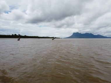 Kuching, Sarawak / Malezya - 12 Ocak 2020: Sarawak Bako Ulusal Parkı, Borneo Adası, Malezya