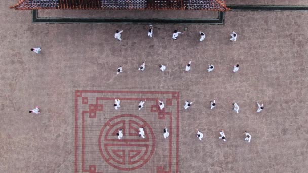 クチン サラワク州 マレーシア 11月22日 サラワク州クチンのソンロードにあるマレーシア 中国友好公園 の動きを練習する高齢者のグループを示すビデオ — ストック動画