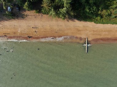 Port Dickson, Negeri Sembilan / Malezya - 25 Ocak 2020: Hibiscus çiçeği ve damga şeklinde oteller ve tatil beldeleri